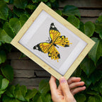 12 Mini-Paintings – Butterfly Bundle 2 diamond painting kit – image 4