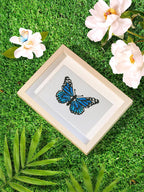 12 Mini-Paintings – Colorful Butterflies diamond painting kit – image 7