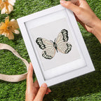 12 Mini-Paintings – Butterfly Bundle 2 diamond painting kit – image 9