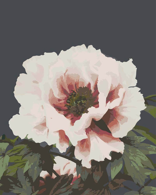 Diamond Painting - Beautiful Photomechanical Prints of (1887–1897) | Ogawa Kazumasa