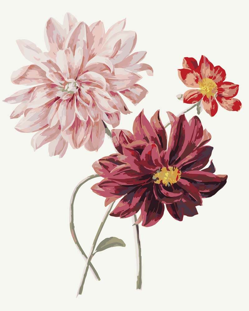 
Dahlias – Willem Hekking diamond painting kit