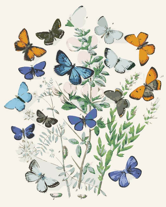 Diamond Painting - European Butterflies and Moths | William Forsell Kirby