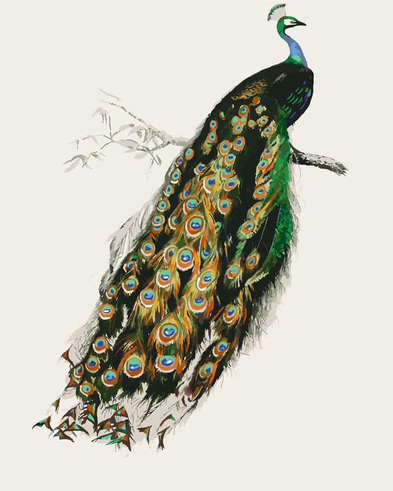 Diamond Painting - Indian Peacock (Pavo cristatus) | Charles Dessalines D'Orbigny