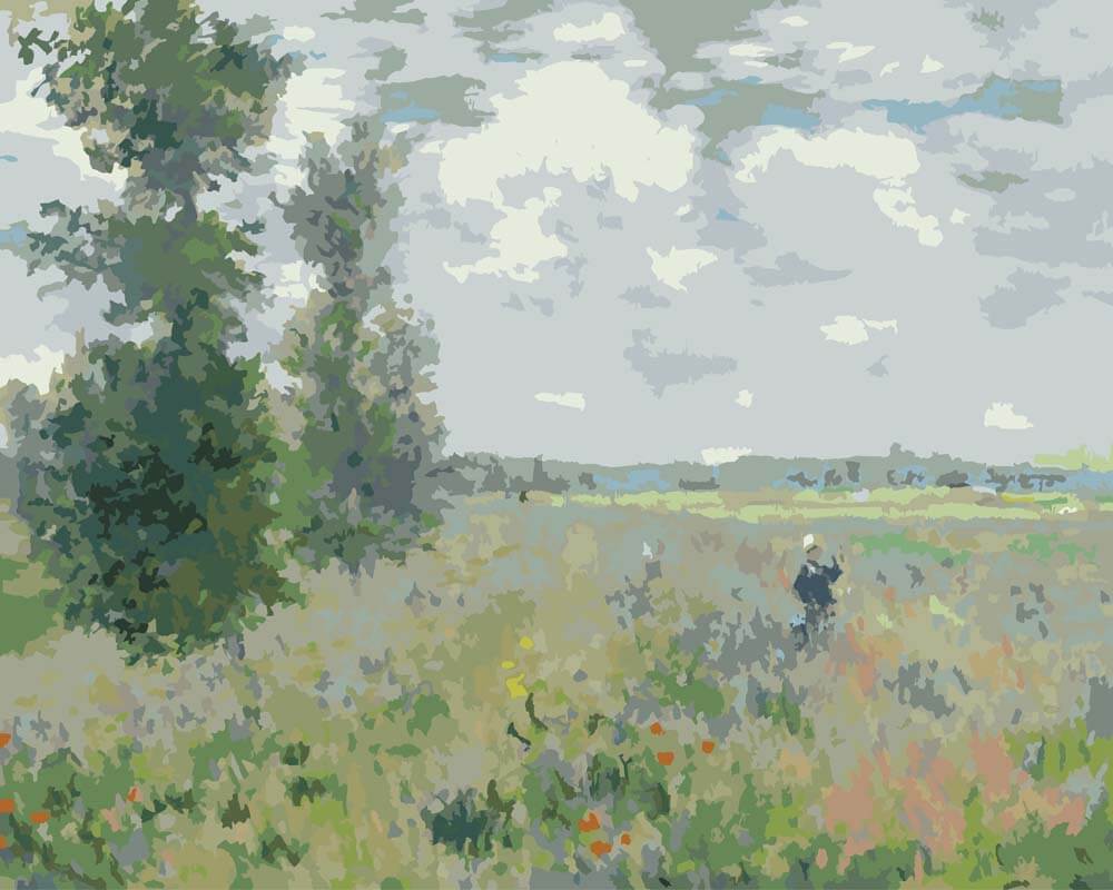 Diamond Painting - Poppy Field near Argenteuil | Claude Monet
