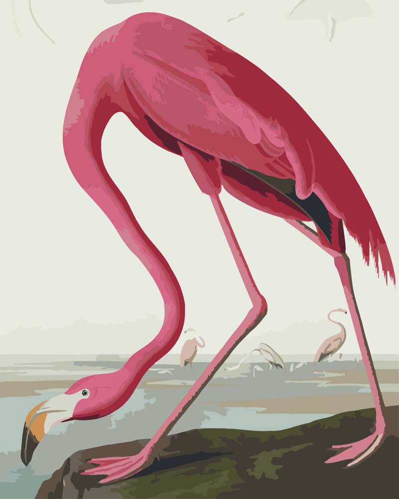 Diamond Painting - Roseate Flamingo from Birds of America  | John James Audubon