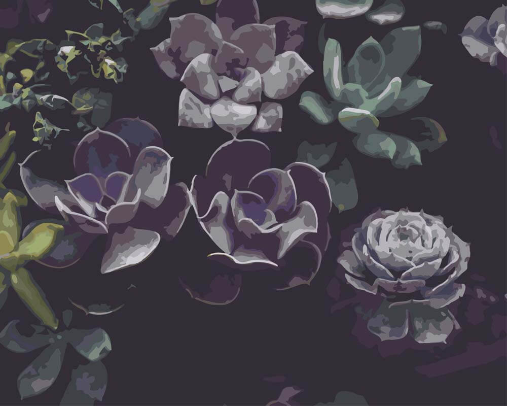 
Succulents in the Allan Gardens diamond painting kit