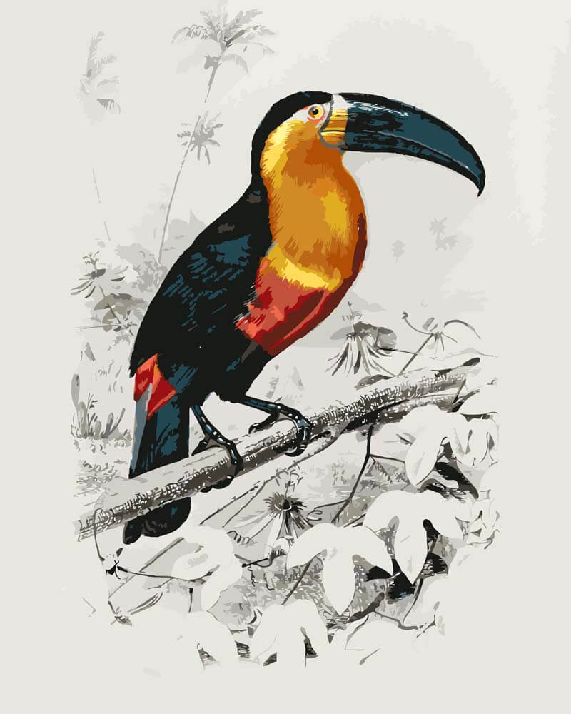 
Toucan (Ramphastos) – Charles Dessalines D'Orbigny diamond painting kit