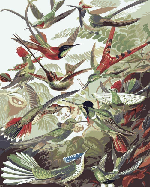 Trochilidae–Kolibris – Ernst Haeckel diamond painting kit